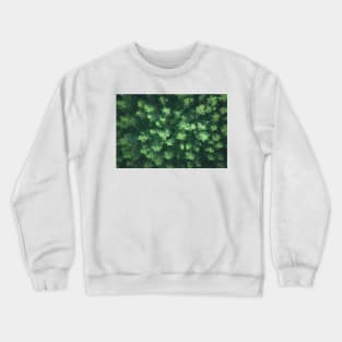 Top down aerial view of pine forest Crewneck Sweatshirt